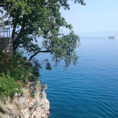 Blick auf das Meer mit Baum | photo credit: Lutz Berger
